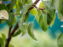 Как облегчали роды наши предки: приметы и запреты