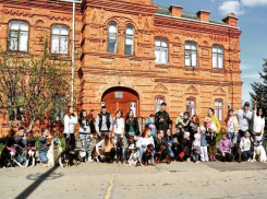 Волжан приглашают принять участие в благотворительной фото-акции «Собака - друг человека!»