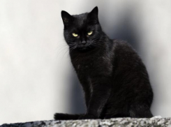 Пятница 13-е: страхи и приметы