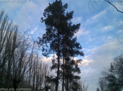 Морозную субботу без осадков пообещали волжанам