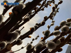 Вербное Воскресенье 2023 в Волжском: традиции, история и запреты