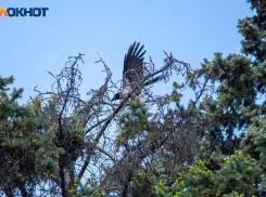 Чужое мнение будет иметь для вас вес: астрологический прогноз для волжан на вторник