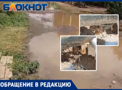 Волжские садоводы топят жителей Погромного