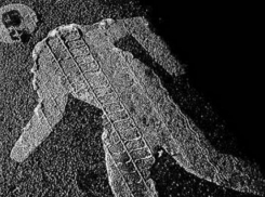 31-летняя волжанка угодила под колеса «Лады-Гранты»