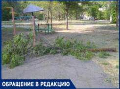 «Дети гуляли возле турника, когда упала ветка», - волжанка