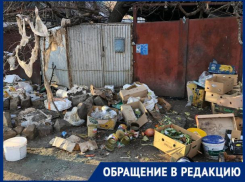 «Как было все засрано так и остается», - волжанка