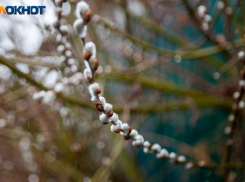 Пасмурные и дождливые выходные прогнозируют в Волжском