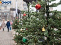 Огненная лошадь на пороге: как встретить Новый год, чтобы привлечь удачу и гармонию