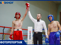 В Волжском прошел региональный турнир по кикбоксингу. Какую роль этот вид спорта играет для города?