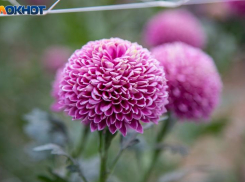 Солнце выглянет из-за туч в воскресенье: погода в Волжском