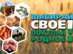 Ведутся работы по разработке товарного знака «Сделано в Волжском»