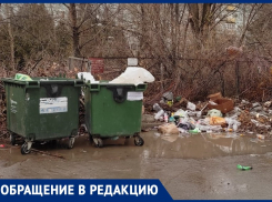 «Ветки лежат с самого лета»: в Волжском не вывозят мусор со двора многоквартирного дома