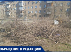 Свалка размером с двор образовалась в Волжском: с решением проблемы тянут пол года