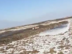 На камеру попали мусоровозы, разгружающиеся в карьер под Волжским