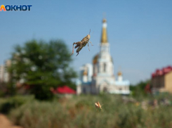 Солнце будет прятаться за облаками в пятницу: прогноз погоды в Волжском