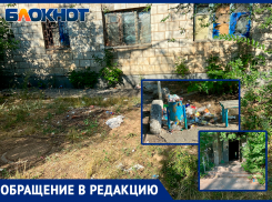 Из УК в ТСН: волжане жалуются на отсутствие дворников и наличие мусора