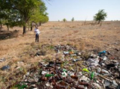 Волгоградские поля превратили в свалку: Россельхознадзор бьет тревогу