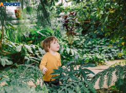 В четверг в Волжском прогнозируют переменную облачность