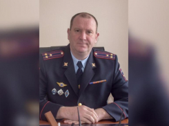На должность начальника регионального УГИБДД назначали Александра Степанова