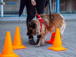 Магнитные качели и мороз ожидают волжан в воскресенье: прогноз погоды
