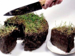 В Средней Ахтубе председатель СПК незаконно отхватил «кусок» Волго-Ахтубинской поймы