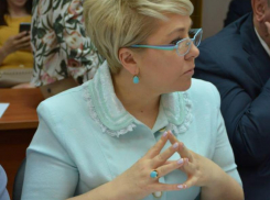 Ирина Гусева встала на сторону учителей на обсуждении нового законопроекта