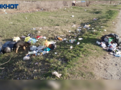 «Вам нравится жить свинарнике?»: волжанка просит дачников не бросать пакеты с мусором на дорогах