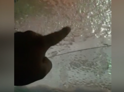 Ледяная корка как броня: автомобилисты Волжского борются за свои машины с непогодой