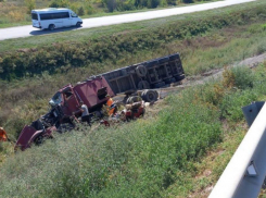 Грузовик опрокинулся  в кювет на трассе в Волгоградской области: есть раненый