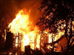 В Волжском пироманы сожгли дачный дом 