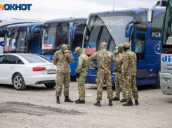 Диане-Тур пришел конец, считают большинство опрошенных волжан