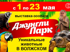 Жаркие тропики с 1 мая в Волжском: успейте посетить выставку-зоопарк «Джунгли Парк»