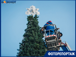В Волжском установили главную елку города