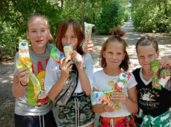 Волжане примут участие в конкурсе «Безопасное лето»