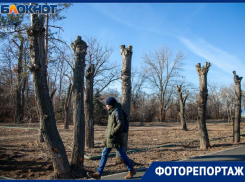 «Обрезание» в Волжском прошло успешно