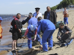 14-летний подросток утонул в пруду Урюпинского района