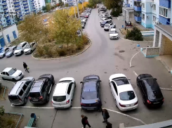 В Волжском подростки поджигают опавшую листву на автомобилях: видео