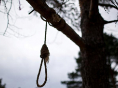 На берегу Ахтубы хуторянин повесился на дереве у обрыва