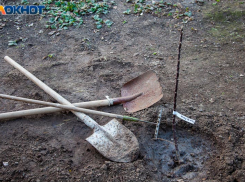 О плюсах и минусах посадки саженцев весной, рассказал фермер из Волжского 