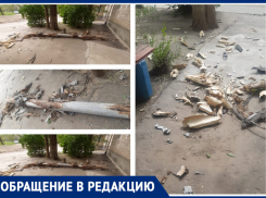 Сухое дерево грозится рухнуть на голову: волжане боятся выйти из подъезда