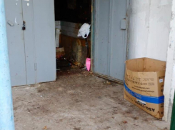 «Мусор убран, порядок наведен»: волжанин выразил благодарность редакции