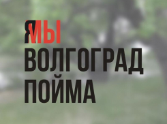 Жительница Волгограда пытается спасти дубы в Волго-Ахтубинской пойме от уничтожения
