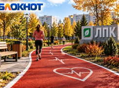 Почти 1,7 миллиона рублей потратят на кардиодорожку в Волжском