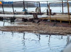 В Волжском началась подготовка к расчистке русла Ахтубы 