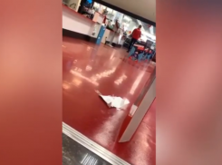 «ГЭС не взорвалась, война не началась»: 3,5 часа жители Волжского стояли под дверьми магазина «МВидео»