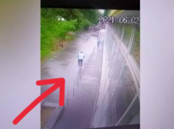 Уехал в закат на чужом велосипеде: воришка попал на видео в Волжском