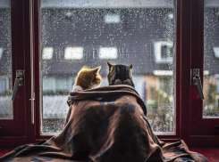 Первый понедельник после праздников погодой не порадует