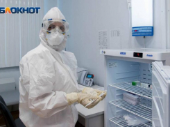 Количество заболевших за день приближается к 500: официальная статистика по Волгоградской области