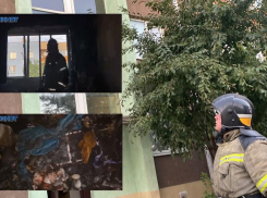 Два этажа эвакуировали: видео с места пожара в многоквартирном доме Волжского