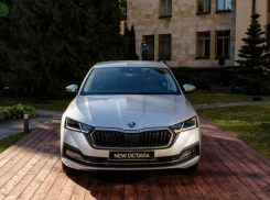 «Агат Виктория» приглашает на онлайн-презентацию АБСОЛЮТНО НОВОЙ ŠKODA OCTAVIA